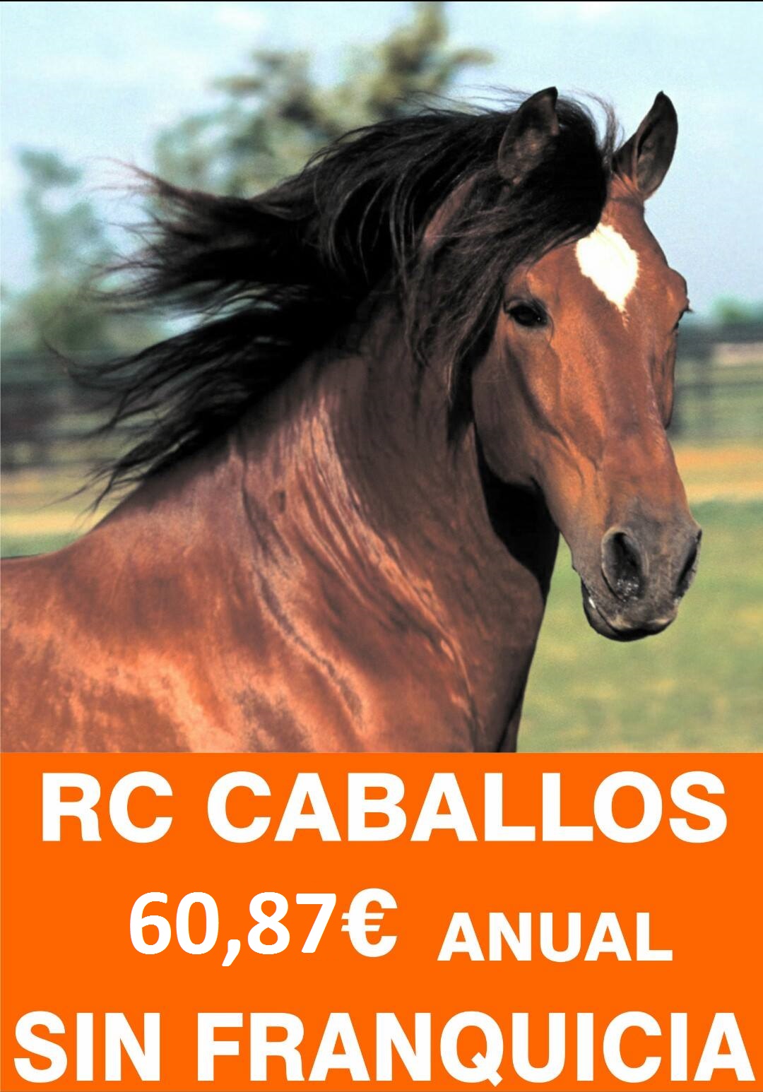 44884538_10217632079539639_4687494145411907584_o