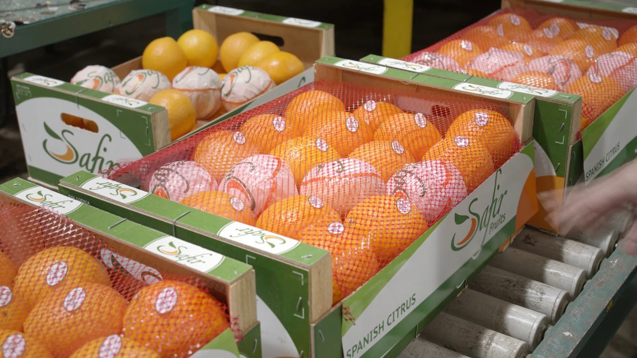 a440723e ada4-4755-b803-019fbd90b273