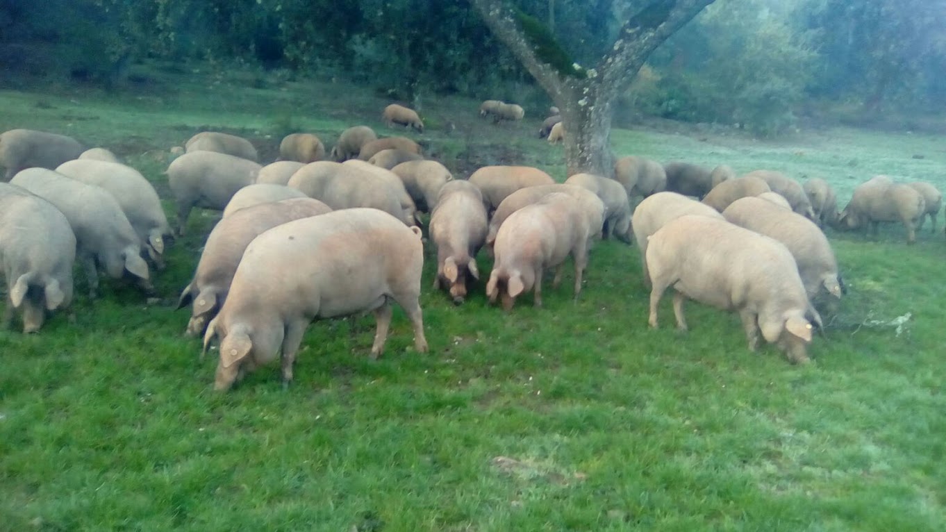 c7db90bf 51cf-4423-be0b-afe48d5bc944