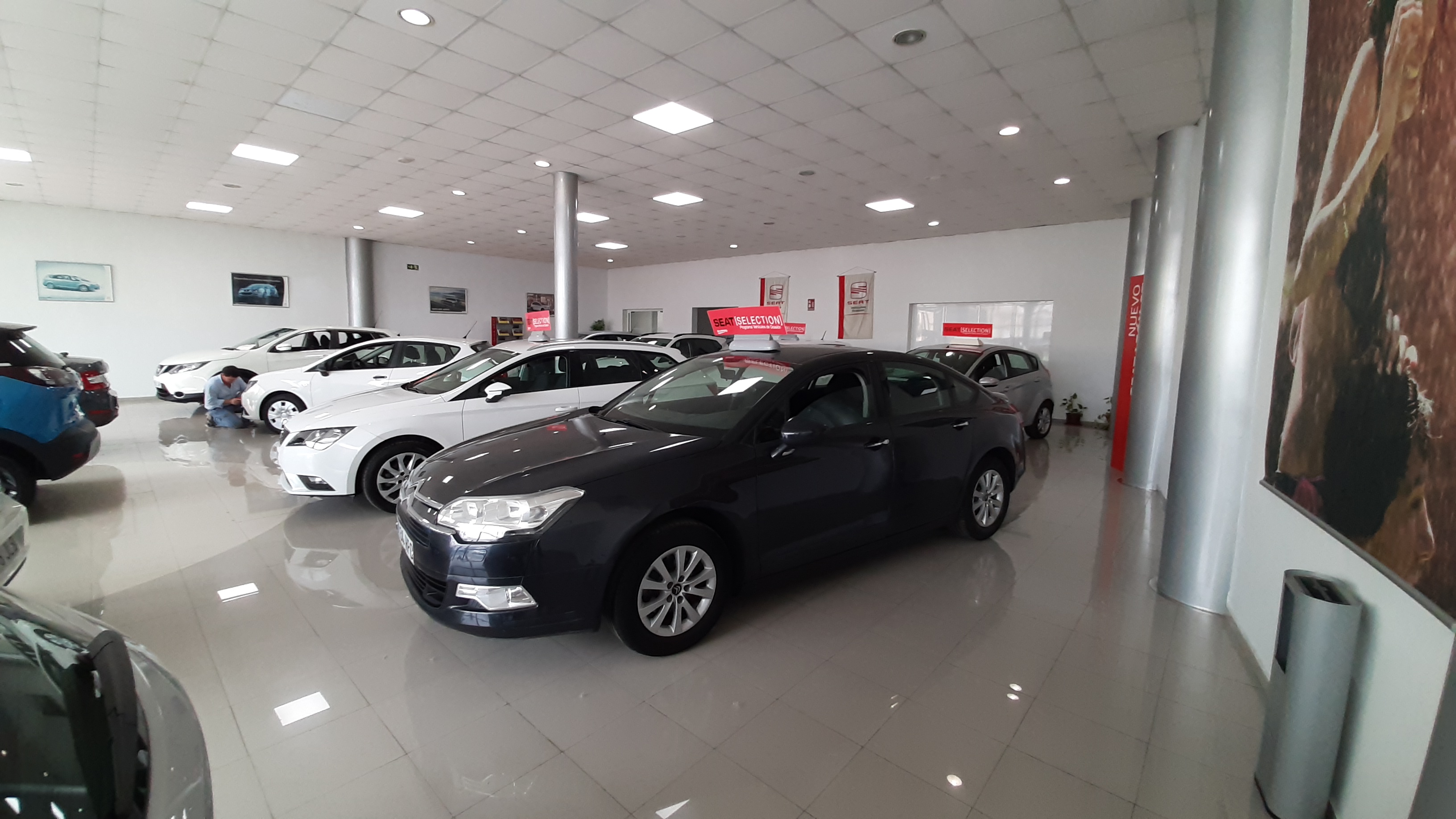 89c407fa 11cb-4daf-b4f0-10c9d7e58639