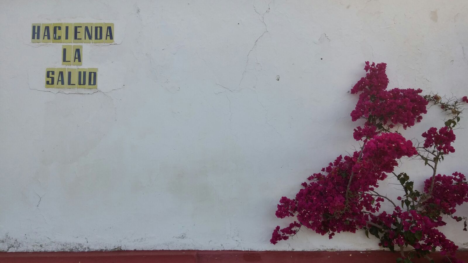 44884538_10217632079539639_4687494145411907584_o