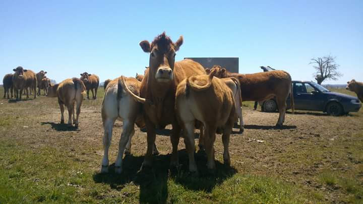 c7db90bf 51cf-4423-be0b-afe48d5bc944