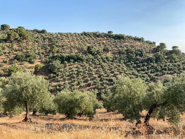 44884538_10217632079539639_4687494145411907584_o