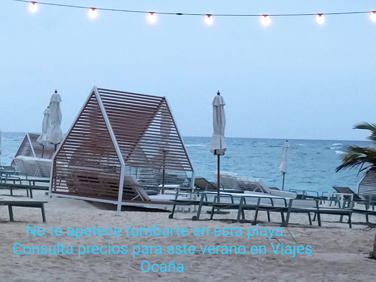 44884538_10217632079539639_4687494145411907584_o