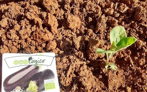 44884538_10217632079539639_4687494145411907584_o