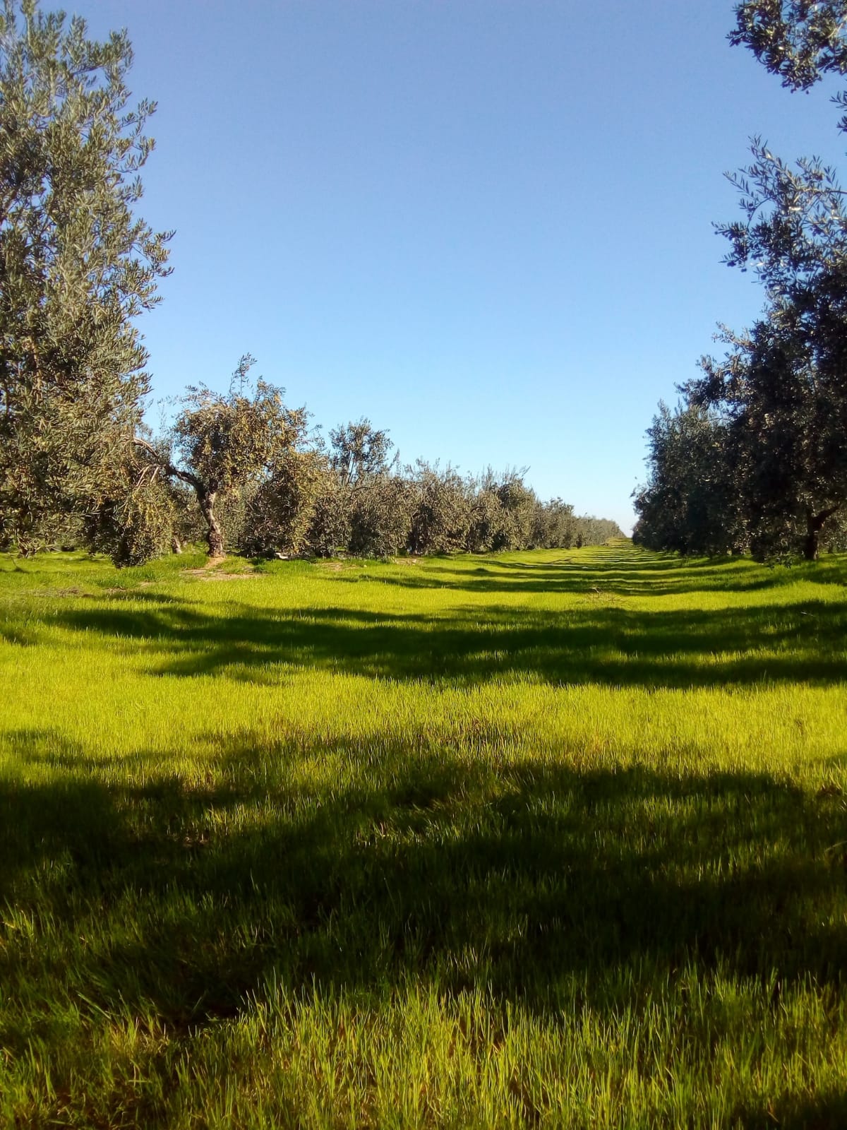 c7db90bf 51cf-4423-be0b-afe48d5bc944