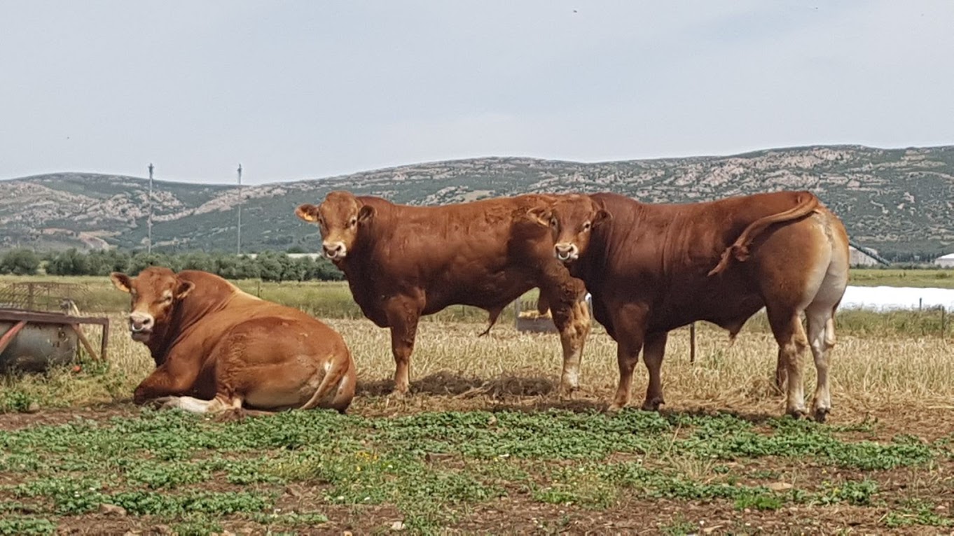 c7db90bf 51cf-4423-be0b-afe48d5bc944