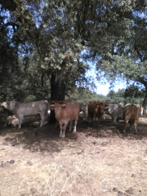 89c407fa 11cb-4daf-b4f0-10c9d7e58639