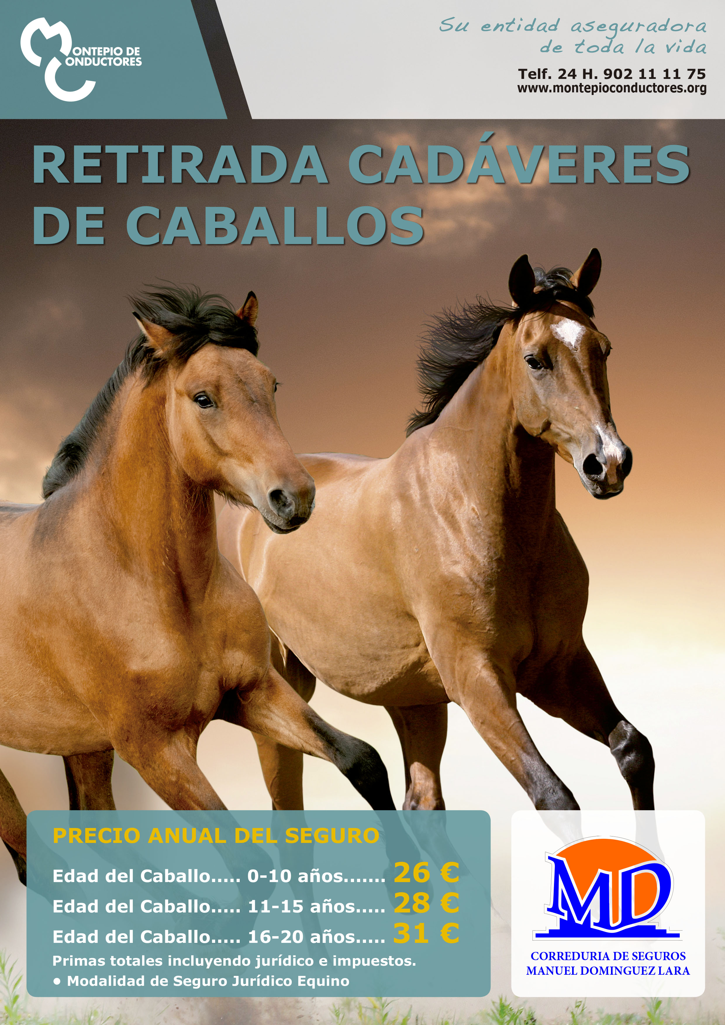 44884538_10217632079539639_4687494145411907584_o