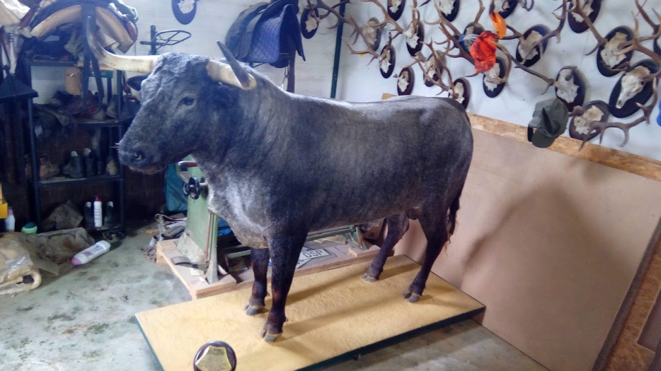 1988f8cc a03b-48b1-8596-a86ee545efc0