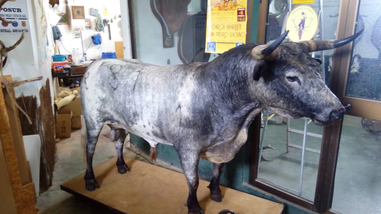 89c407fa 11cb-4daf-b4f0-10c9d7e58639