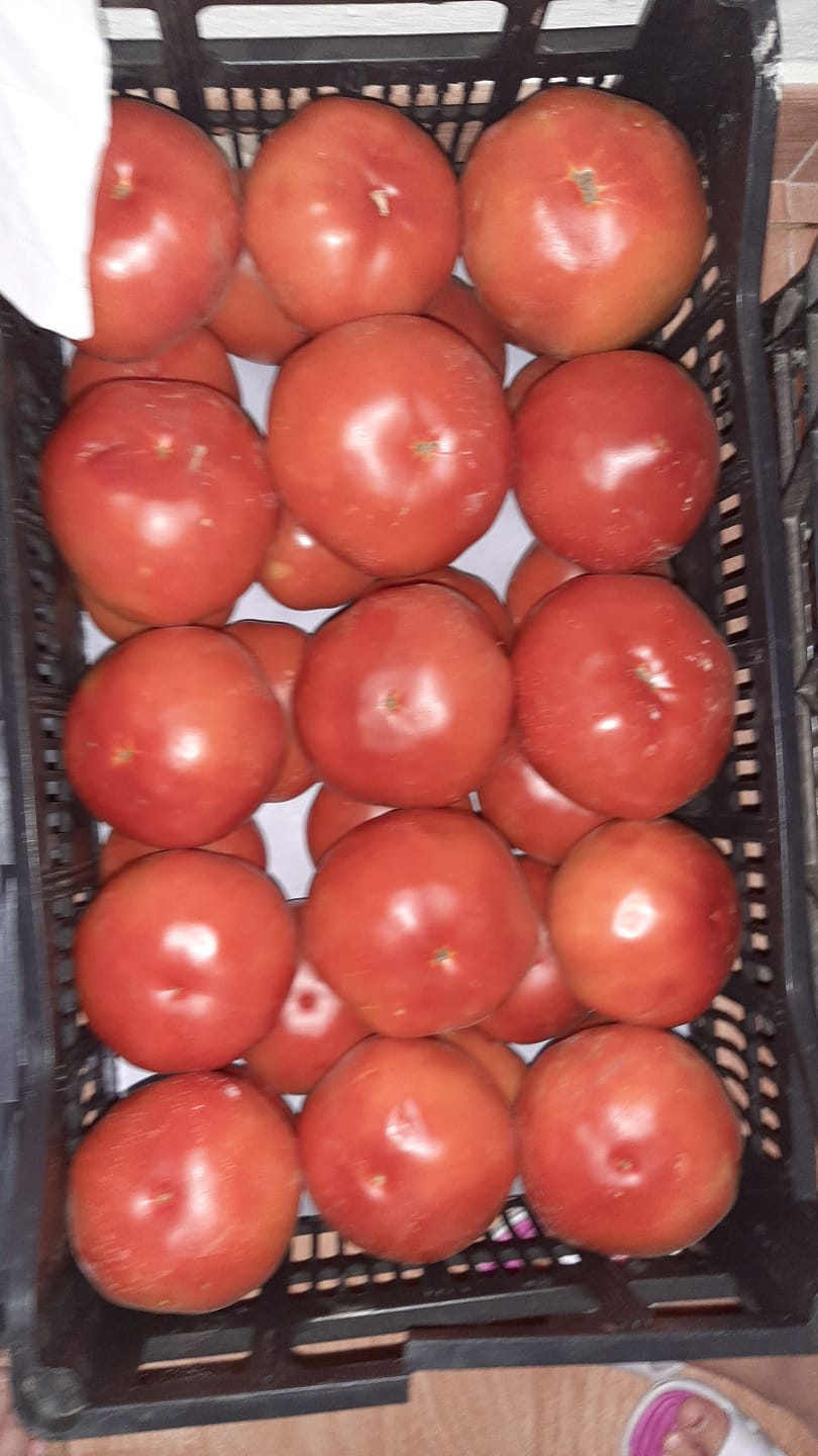 44884538_10217632079539639_4687494145411907584_o