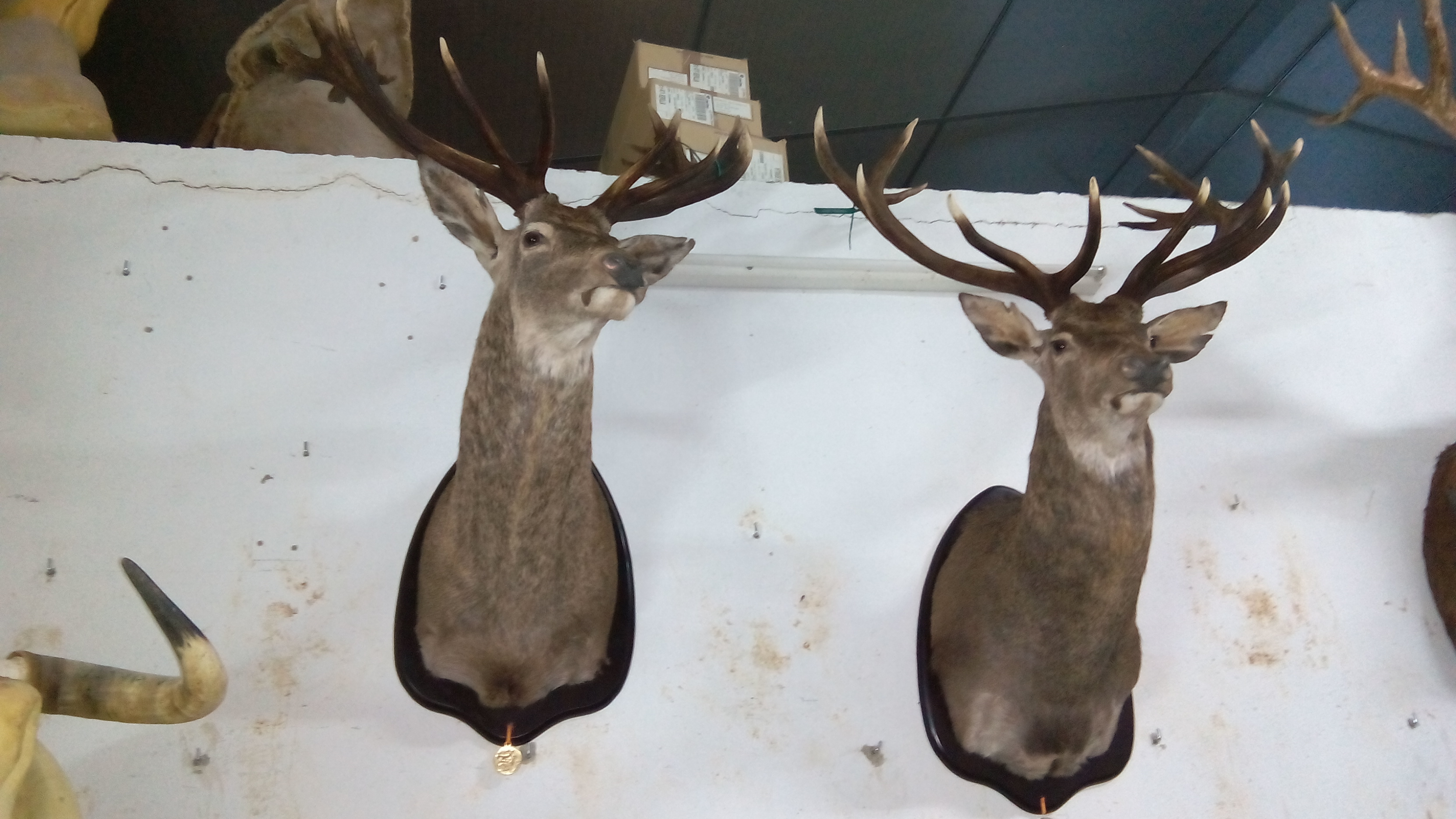 a440723e ada4-4755-b803-019fbd90b273