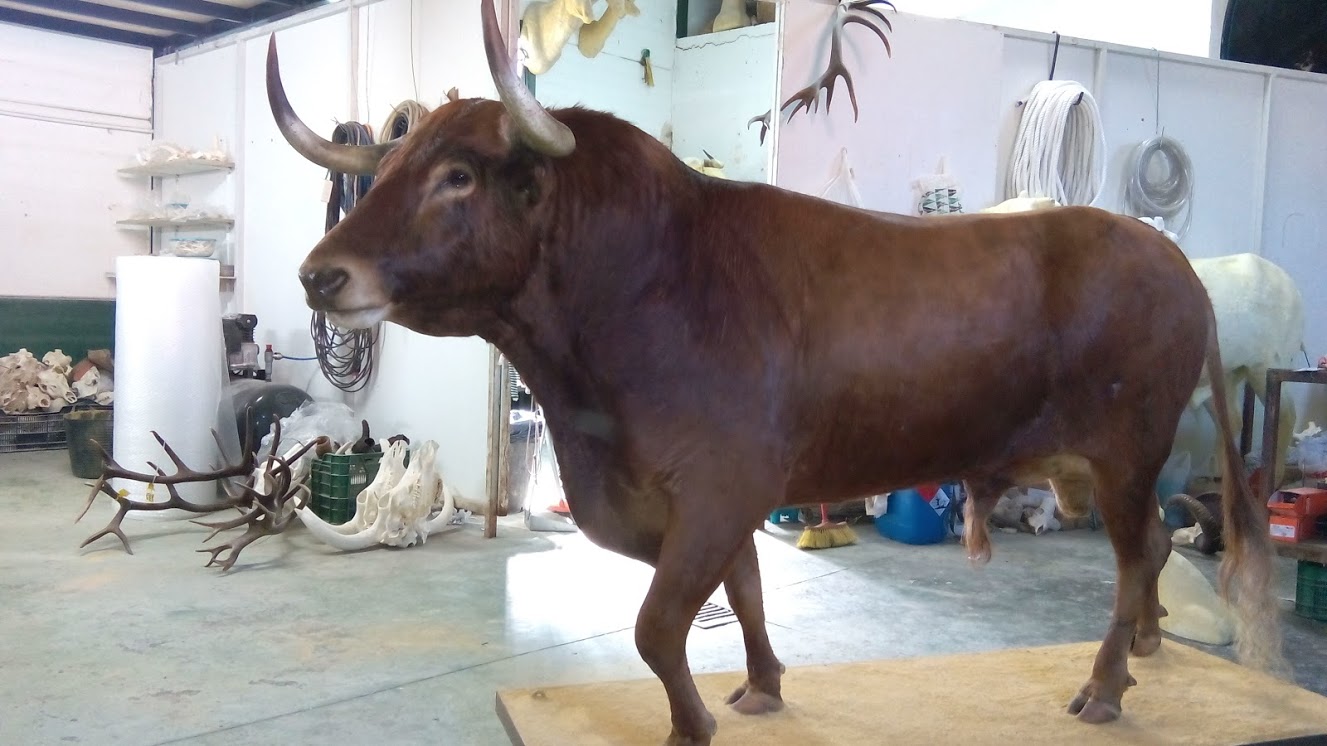 25727e8e 0078-4bad-997a-2845fba8123c