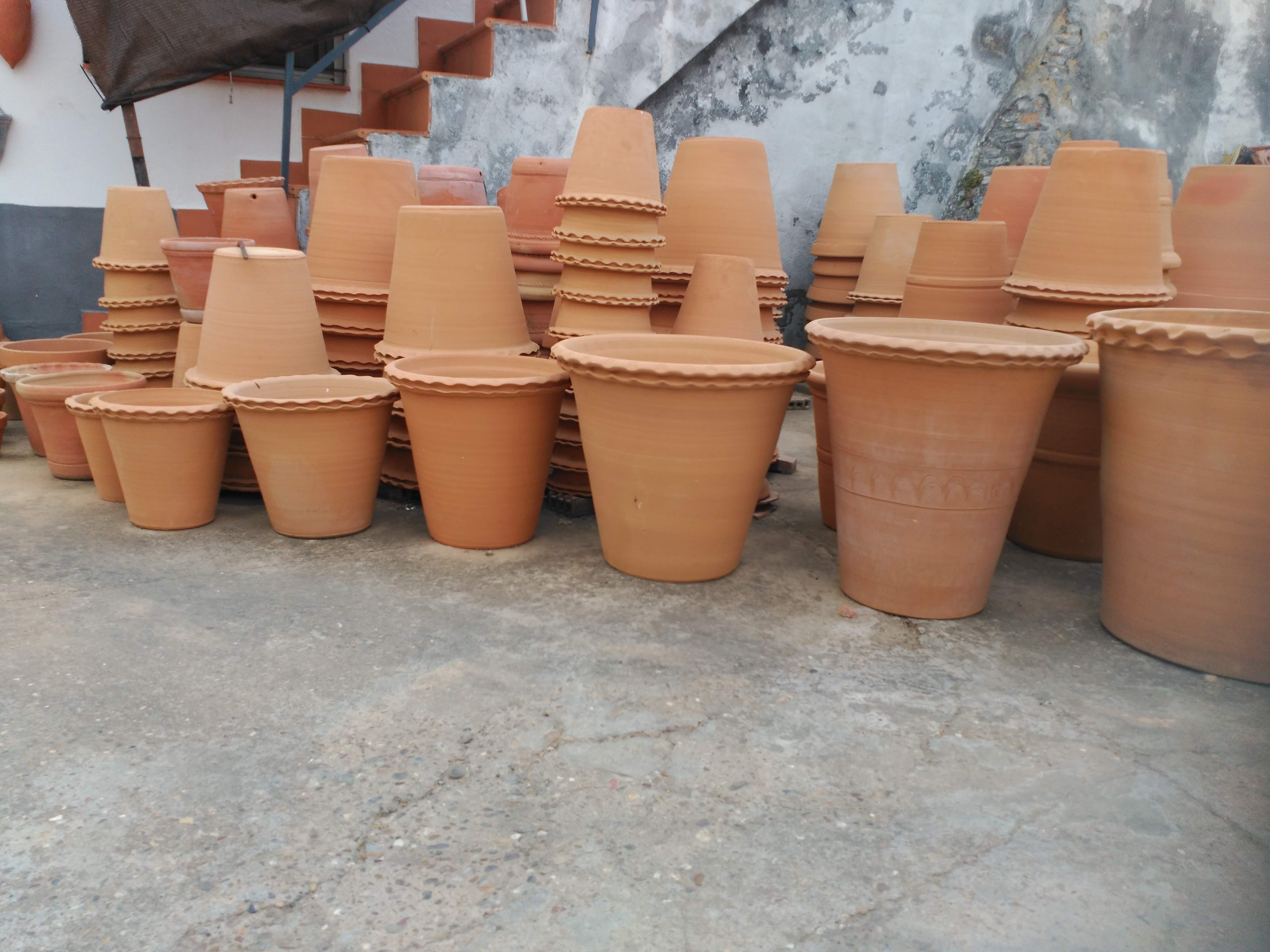 44884538_10217632079539639_4687494145411907584_o