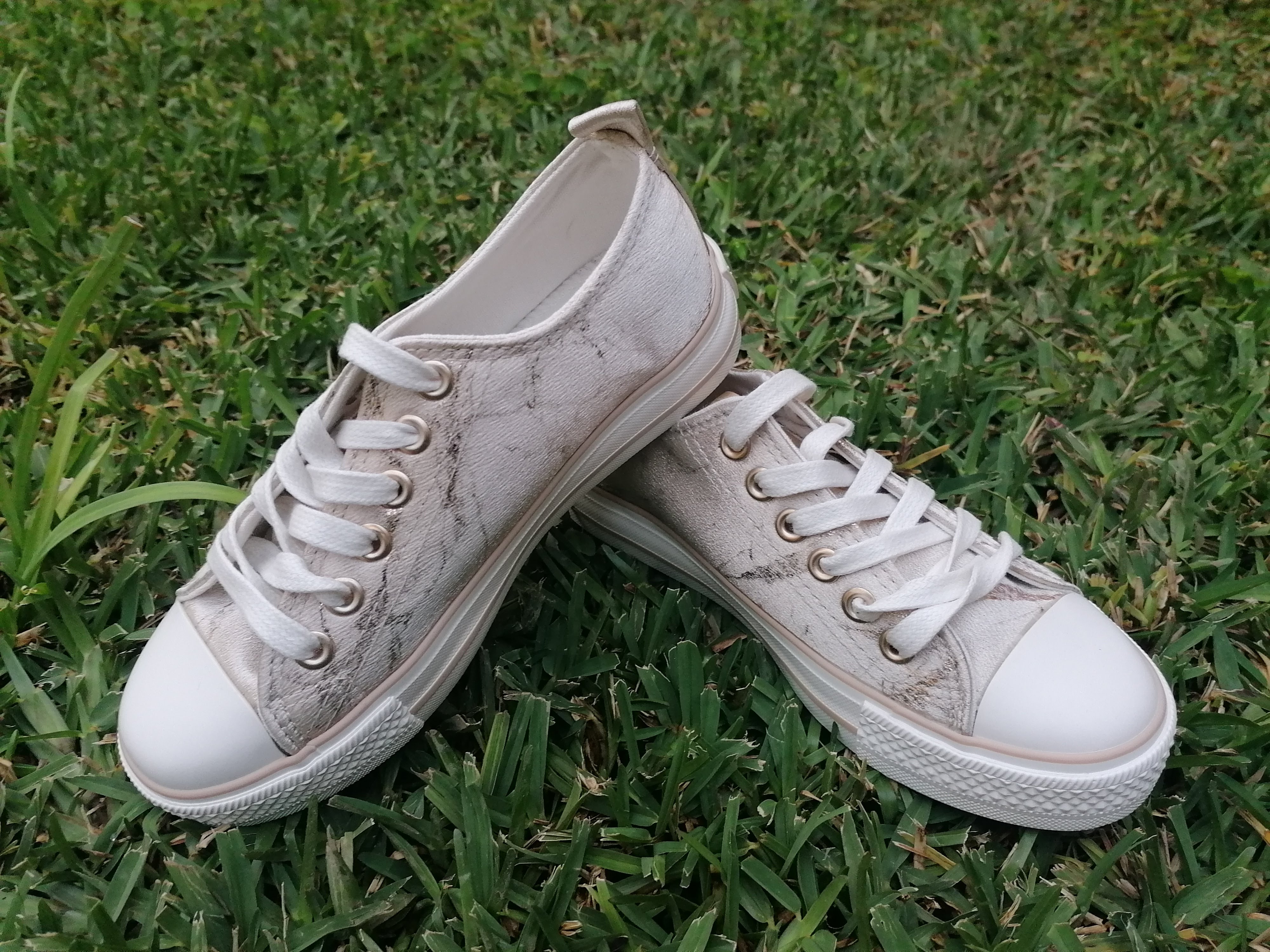 b2455332 2676-453c-a1d0-987ea85219f6