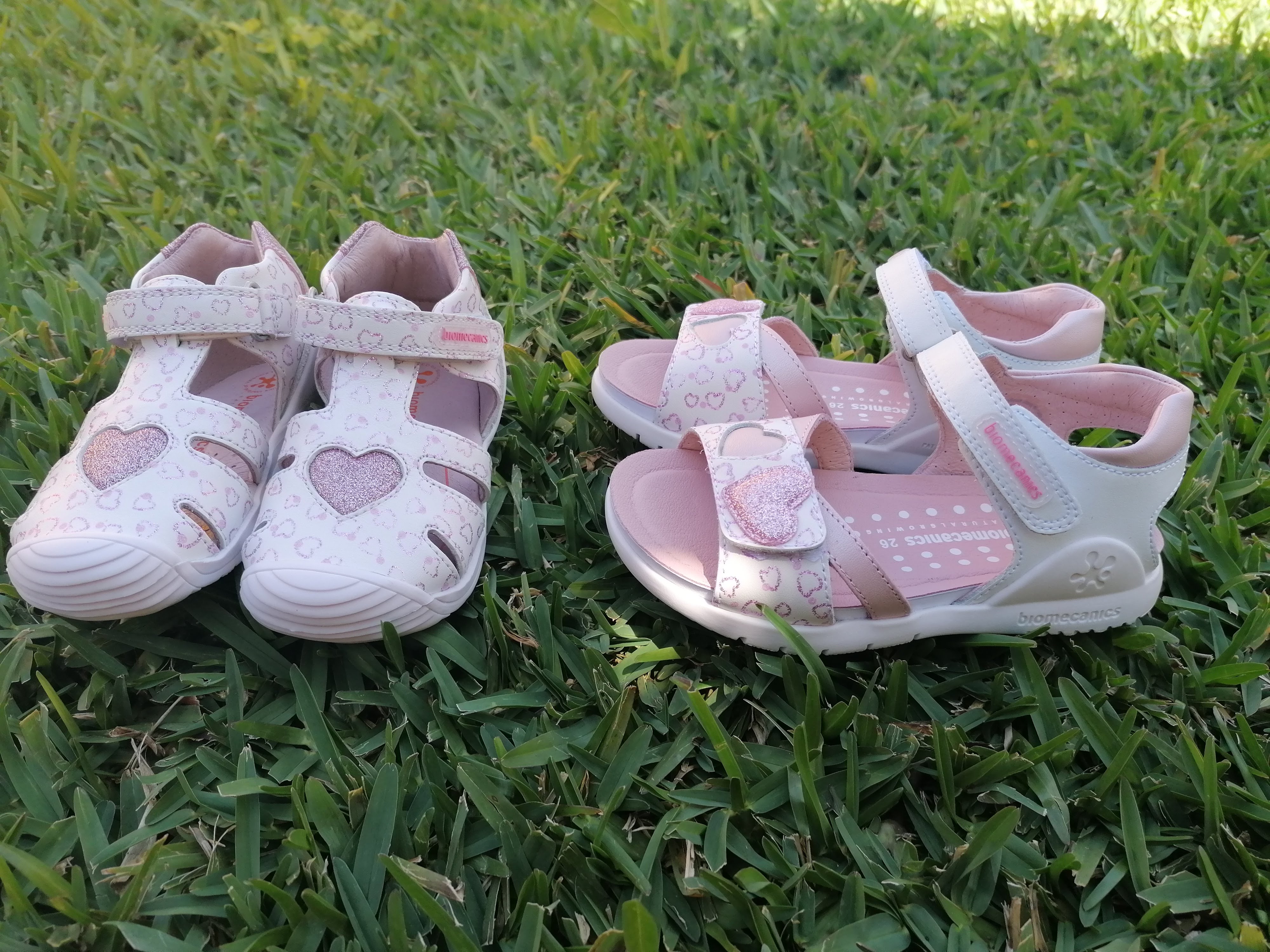 29a8c41e 9eab-4e4f-a4c1-d43b3fb8a707