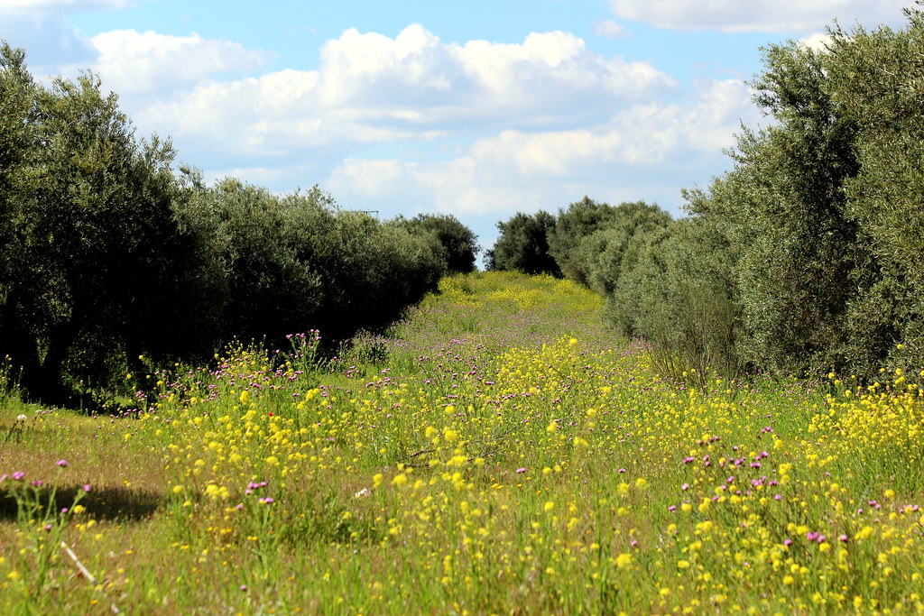 44884538_10217632079539639_4687494145411907584_o