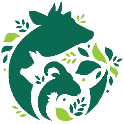 placeholder image-sq