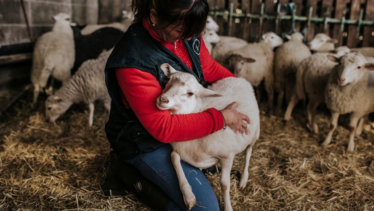 44884538_10217632079539639_4687494145411907584_o