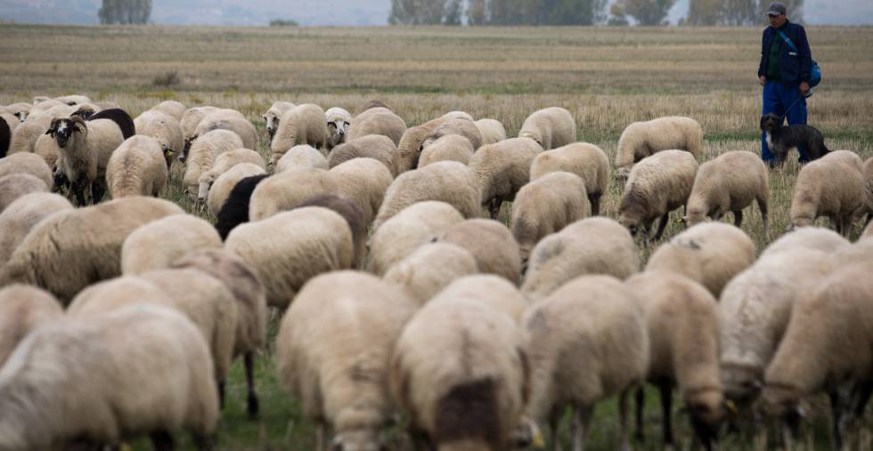 44884538_10217632079539639_4687494145411907584_o