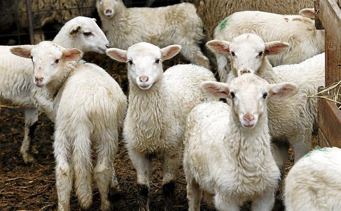 44884538_10217632079539639_4687494145411907584_o