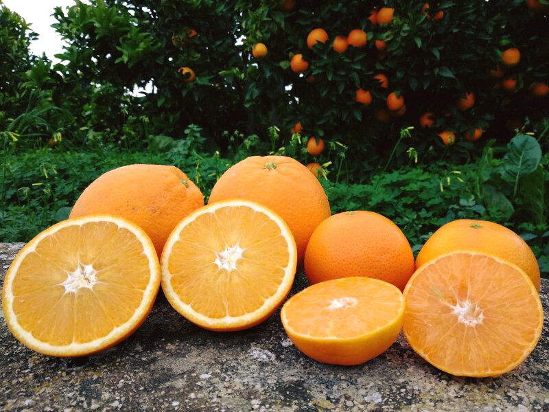 44884538_10217632079539639_4687494145411907584_o