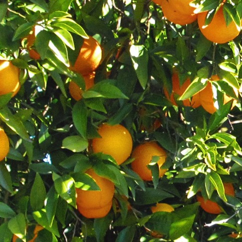 44884538_10217632079539639_4687494145411907584_o