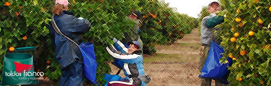 44884538_10217632079539639_4687494145411907584_o